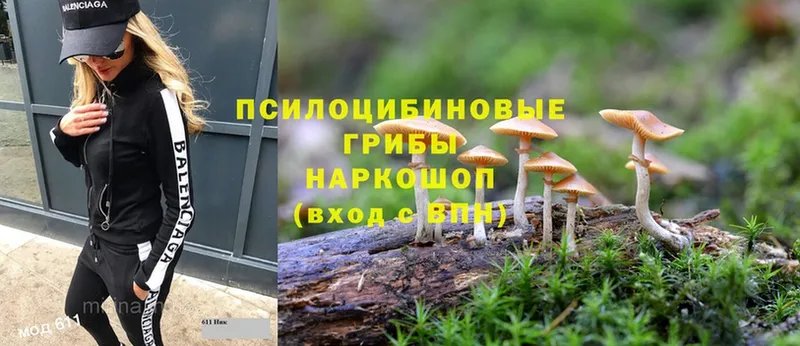 купить наркотик  Нолинск  сайты даркнета официальный сайт  Псилоцибиновые грибы прущие грибы 